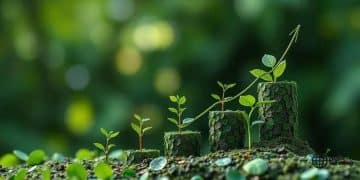 Green bonds: financing a sustainable future for investors