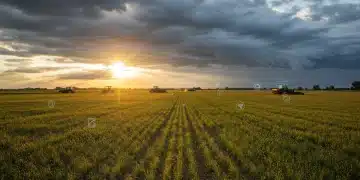Agricultural fields under changing climate, symbolizing 2025 crop yield impacts
